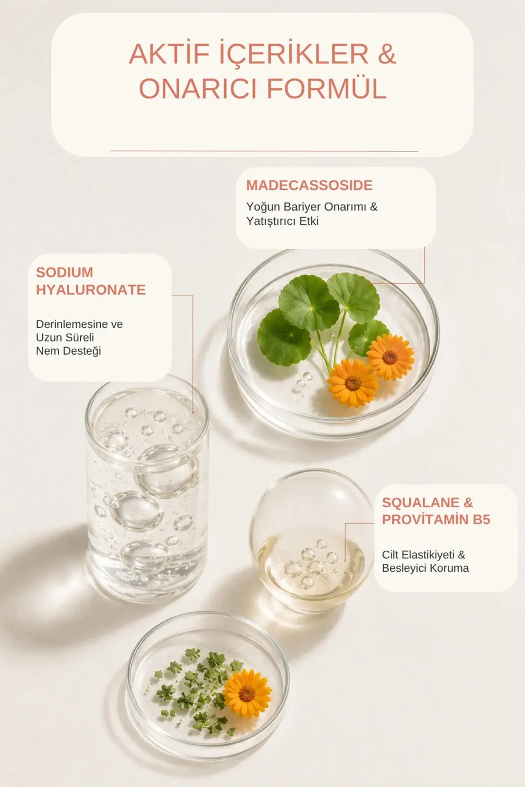 Clerie 2’li Cica Yüz Kremi Seti – Yoğun Nemlendirici, Cilt Bariyer Destekleyici Centella & Madecassoside Krem 2x50 ml